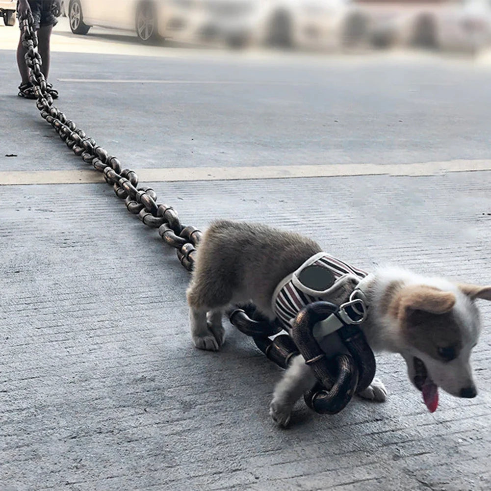 Giant Dog Chain