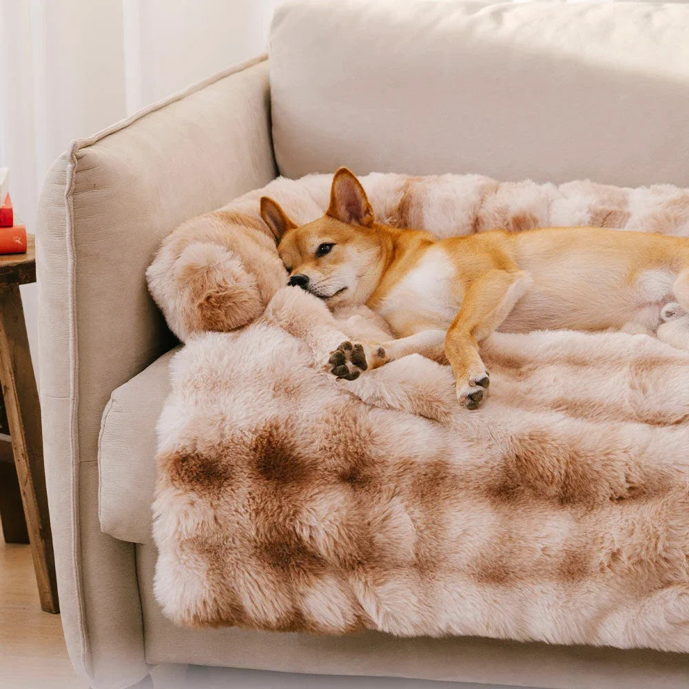 Calming Dog Bed