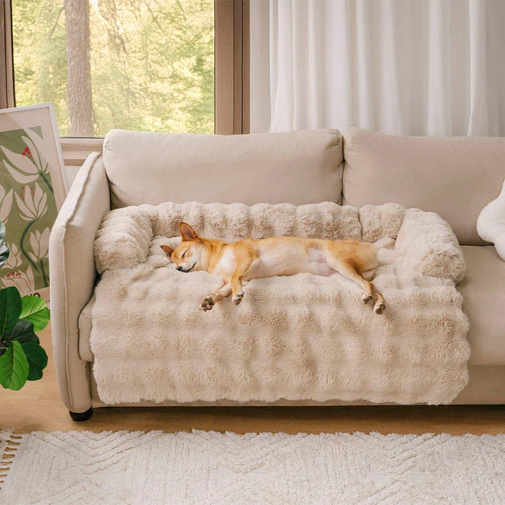 Calming Dog Bed