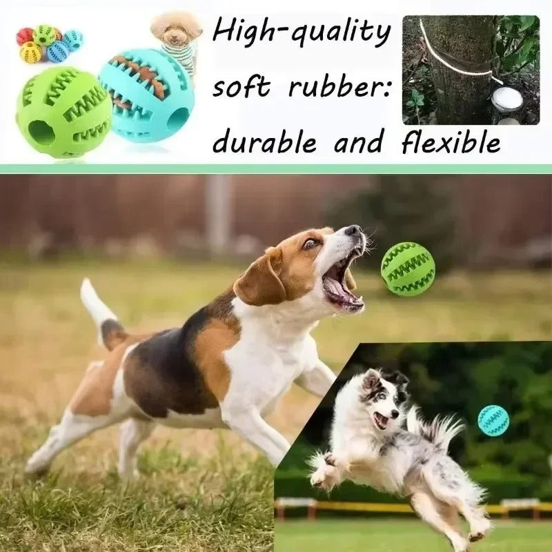 Treat Feeder - Interactive Rubber Ball