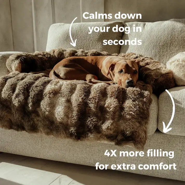 Calming Dog Bed