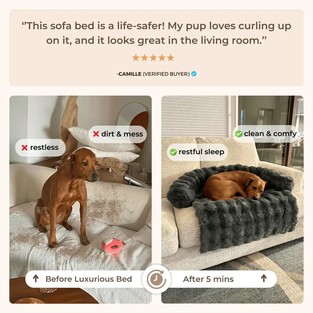 Calming Dog Bed