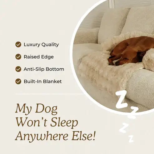 Calming Dog Bed