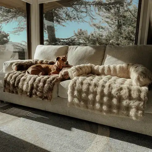 Calming Dog Bed