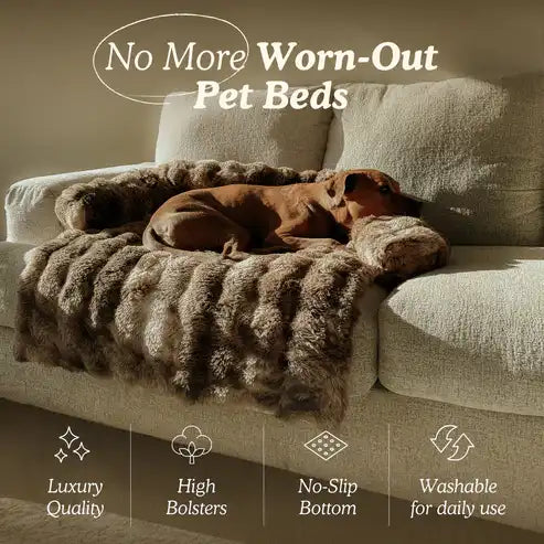 Calming Dog Bed